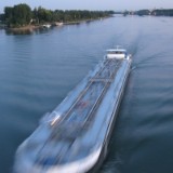 0909F 146 Rhein bei Mainz